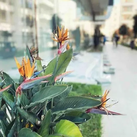 Sun & Sea Qerret 1 Apartament Golem (Tirana)